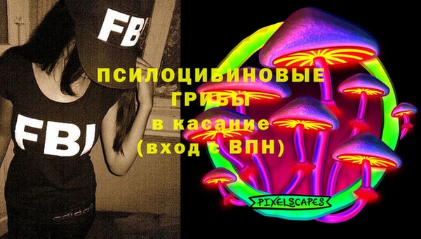 ПСИЛОЦИБИНОВЫЕ ГРИБЫ Абинск
