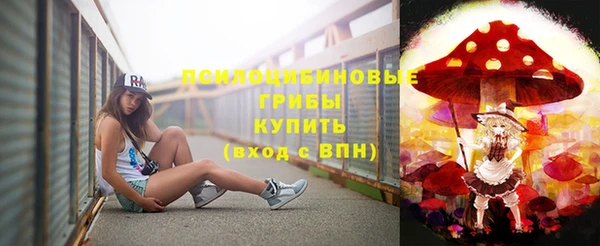 ПСИЛОЦИБИНОВЫЕ ГРИБЫ Абинск