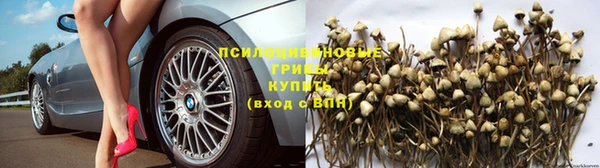 ПСИЛОЦИБИНОВЫЕ ГРИБЫ Абинск