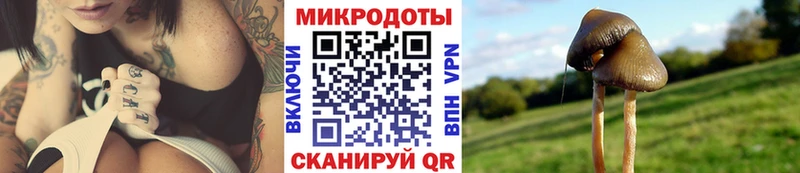 Галлюциногенные грибы Magic Shrooms  Никольское 